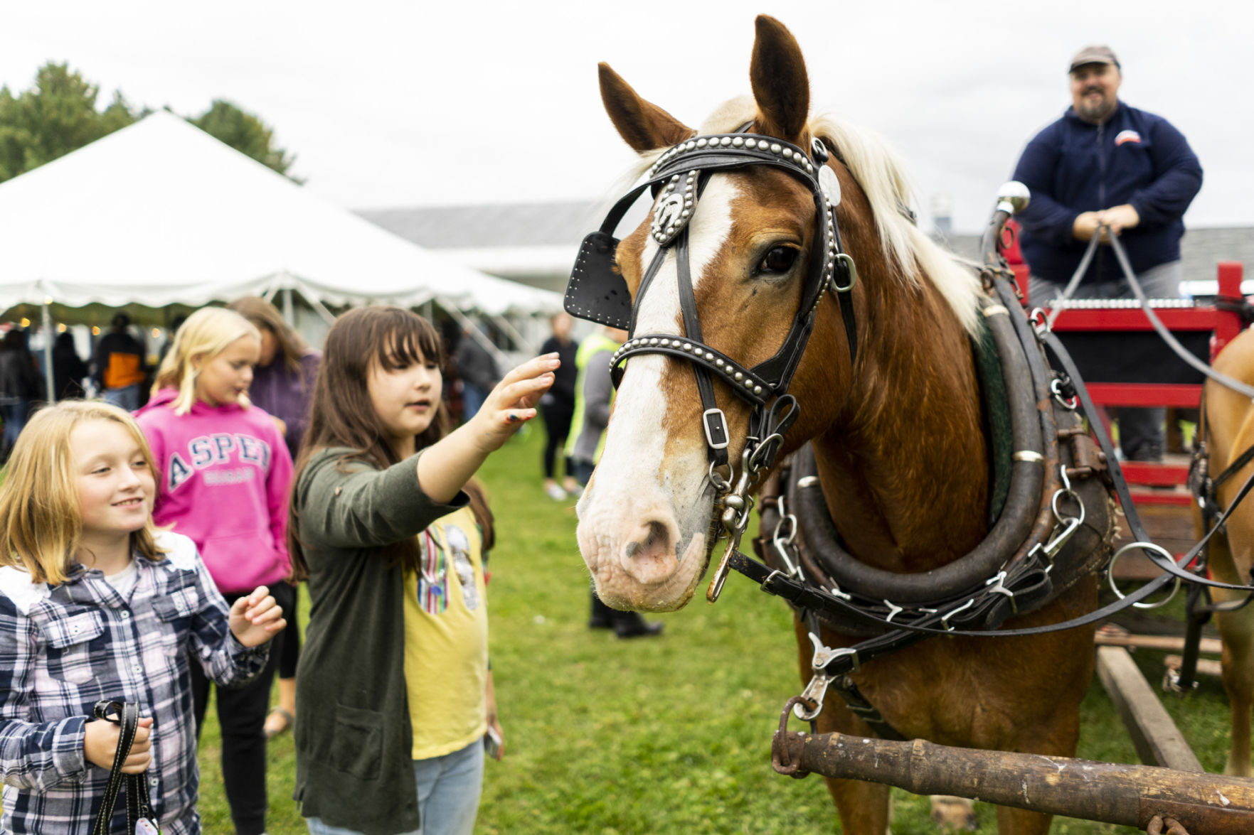 Turin’s Ridgefest gives visitors a lift